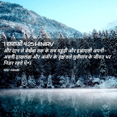 Picture 02 - 1 राजाओं 4:25 HINIRV - और दान से बेर्शेबा - Bible Verse Picture