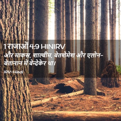 Picture 02 - 1 राजाओं 4:9 HINIRV - और माकस, शाल्बीम, - Bible Verse Picture