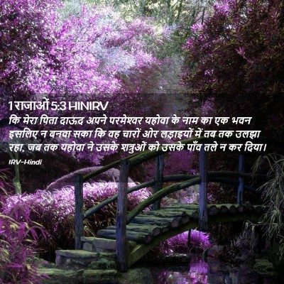 Picture 02 - 1 राजाओं 5:3 HINIRV - कि मेरा पिता दाऊद - Bible Verse Picture