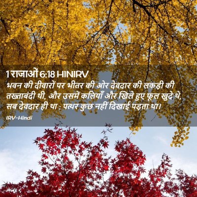 Picture 02 - 1 राजाओं 6:18 HINIRV - भवन की दीवारों पर - Bible Verse Picture