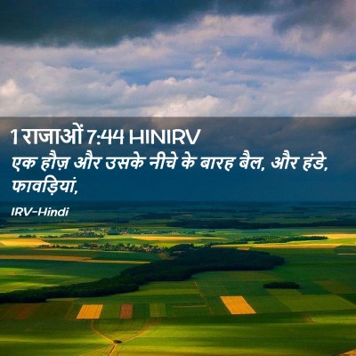 Picture 02 - 1 राजाओं 7:44 HINIRV - एक हौज़ और उसके - Bible Verse Picture