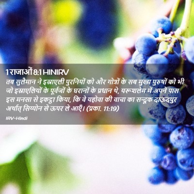 Picture 02 - 1 राजाओं 8:1 HINIRV - तब सुलैमान ने - Bible Verse Picture