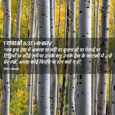 Picture 02 - 1 राजाओं 8:37 HINIRV - “जब इस देश में अकाल - Bible Verse Picture