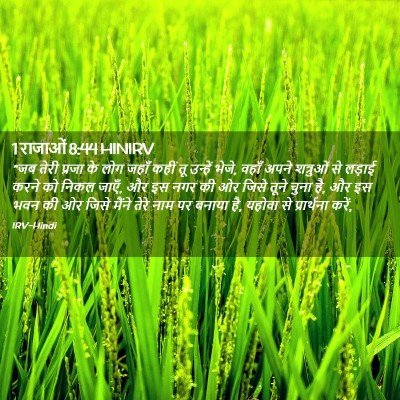 Picture 02 - 1 राजाओं 8:44 HINIRV - “जब तेरी प्रजा के - Bible Verse Picture