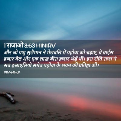 Picture 02 - 1 राजाओं 8:63 HINIRV - और जो पशु सुलैमान - Bible Verse Picture