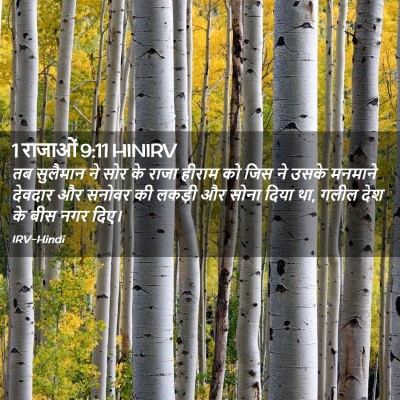 Picture 02 - 1 राजाओं 9:11 HINIRV - तब सुलैमान ने सोर - Bible Verse Picture