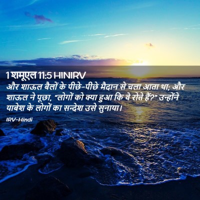 Picture 02 - 1 शमूएल 11:5 HINIRV - और शाऊल बैलों के - Bible Verse Picture