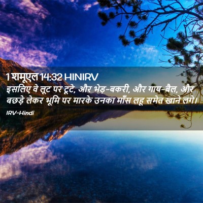 Picture 02 - 1 शमूएल 14:32 HINIRV - इसलिए वे लूट पर - Bible Verse Picture