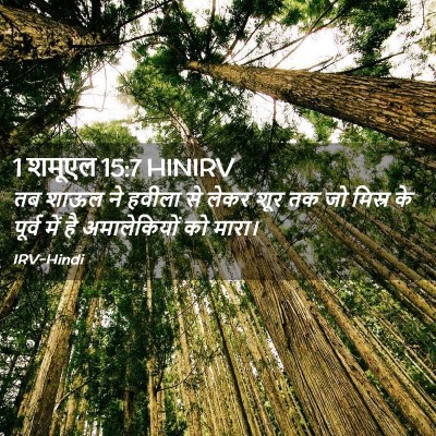 Picture 02 - 1 शमूएल 15:7 HINIRV - तब शाऊल ने हवीला से - Bible Verse Picture