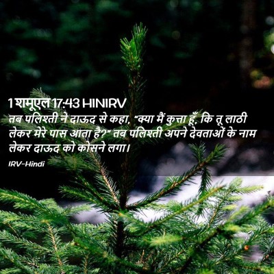 Picture 02 - 1 शमूएल 17:43 HINIRV - तब पलिश्ती ने दाऊद - Bible Verse Picture