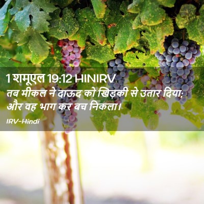 Picture 02 - 1 शमूएल 19:12 HINIRV - तब मीकल ने दाऊद को - Bible Verse Picture