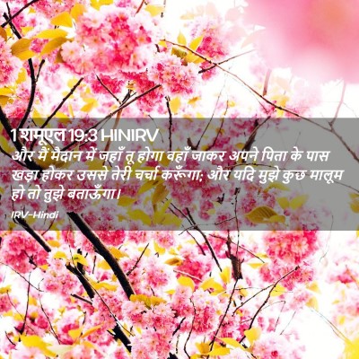 Picture 02 - 1 शमूएल 19:3 HINIRV - और मैं मैदान में - Bible Verse Picture