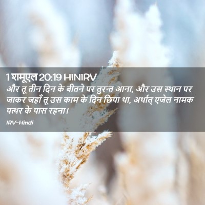 Picture 02 - 1 शमूएल 20:19 HINIRV - और तू तीन दिन के - Bible Verse Picture