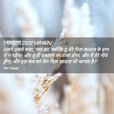 Picture 02 - 1 शमूएल 23:17 HINIRV - उसने उससे कहा, “मत - Bible Verse Picture