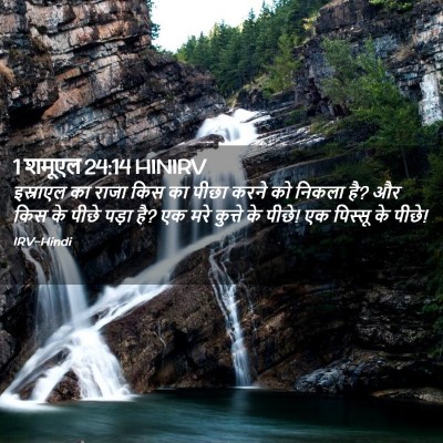 Picture 02 - 1 शमूएल 24:14 HINIRV - इस्राएल का राजा - Bible Verse Picture