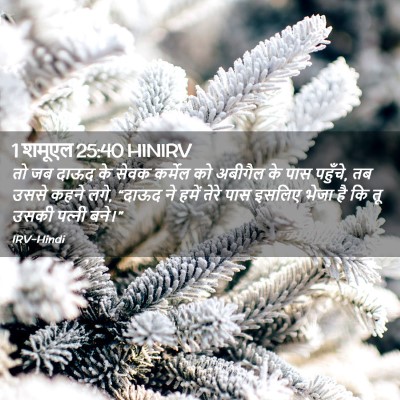 Picture 02 - 1 शमूएल 25:40 HINIRV - तो जब दाऊद के सेवक - Bible Verse Picture