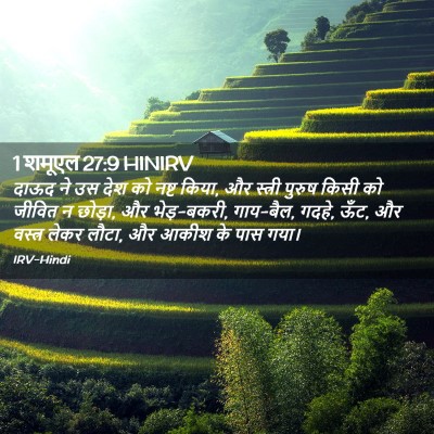 Picture 02 - 1 शमूएल 27:9 HINIRV - दाऊद ने उस देश को - Bible Verse Picture