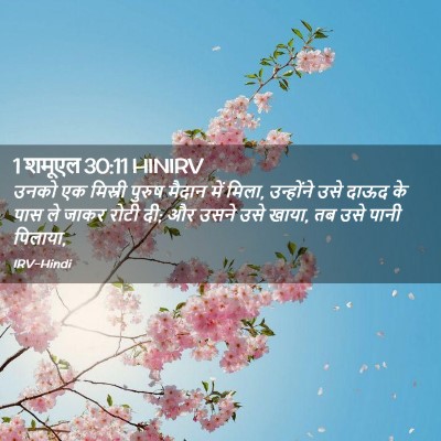 Picture 02 - 1 शमूएल 30:11 HINIRV - उनको एक मिस्री - Bible Verse Picture