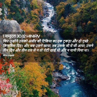 Picture 02 - 1 शमूएल 30:12 HINIRV - फिर उन्होंने उसको - Bible Verse Picture