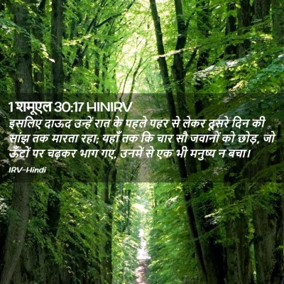 Picture 02 - 1 शमूएल 30:17 HINIRV - इसलिए दाऊद उन्हें - Bible Verse Picture