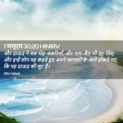 Picture 02 - 1 शमूएल 30:20 HINIRV - और दाऊद ने सब - Bible Verse Picture