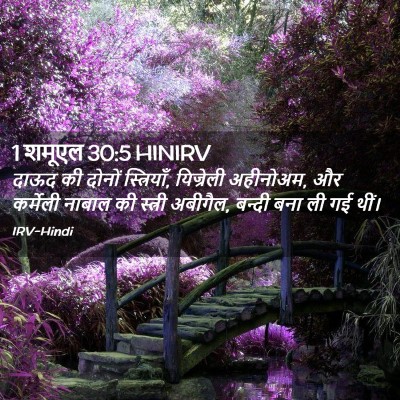 Picture 02 - 1 शमूएल 30:5 HINIRV - दाऊद की दोनों - Bible Verse Picture