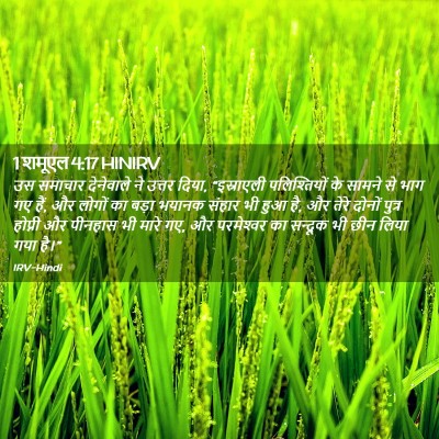 Picture 02 - 1 शमूएल 4:17 HINIRV - उस समाचार - Bible Verse Picture