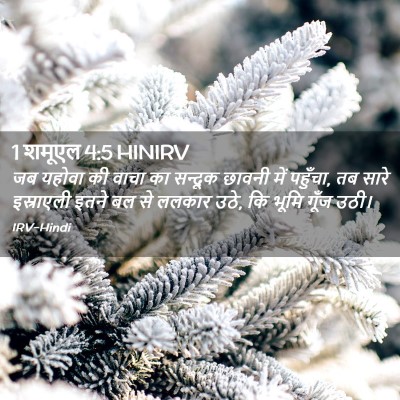 Picture 02 - 1 शमूएल 4:5 HINIRV - जब यहोवा की वाचा का - Bible Verse Picture