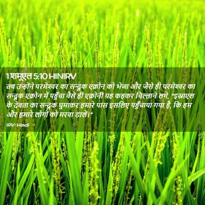 Picture 02 - 1 शमूएल 5:10 HINIRV - तब उन्होंने - Bible Verse Picture