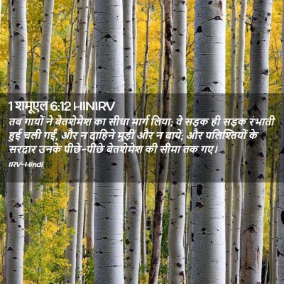 Picture 02 - 1 शमूएल 6:12 HINIRV - तब गायों ने - Bible Verse Picture