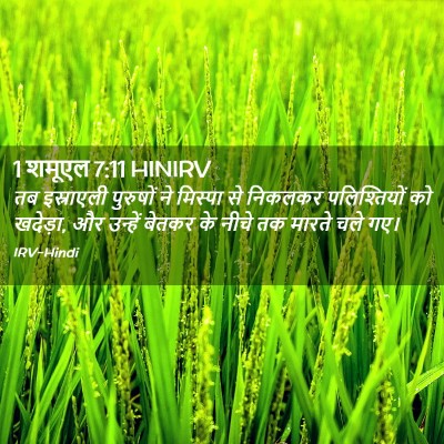 Picture 02 - 1 शमूएल 7:11 HINIRV - तब इस्राएली - Bible Verse Picture