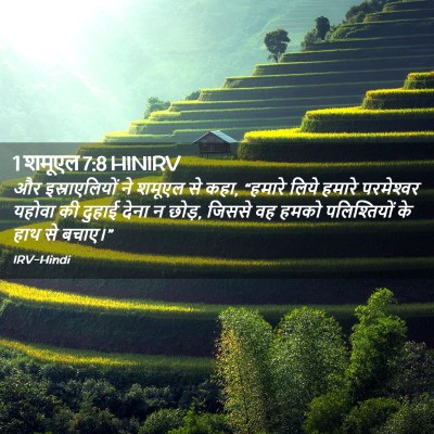 Picture 02 - 1 शमूएल 7:8 HINIRV - और इस्राएलियों ने - Bible Verse Picture