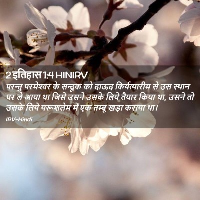 Picture 02 - 2 इतिहास 1:4 HINIRV - परन्तु परमेश्‍वर - Bible Verse Picture