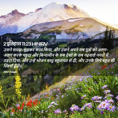 Picture 02 - 2 इतिहास 11:23 HINIRV - उसने समझ-बूझकर काम - Bible Verse Picture