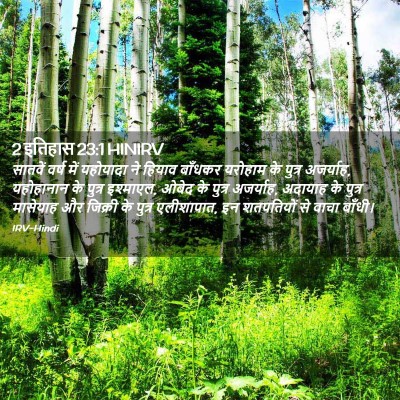 Picture 02 - 2 इतिहास 23:1 HINIRV - सातवें वर्ष में - Bible Verse Picture