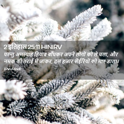 Picture 02 - 2 इतिहास 25:11 HINIRV - परन्तु अमस्याह - Bible Verse Picture