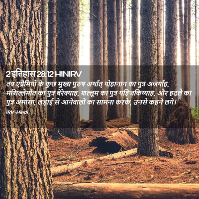 Picture 02 - 2 इतिहास 28:12 HINIRV - तब एप्रैमियों के - Bible Verse Picture