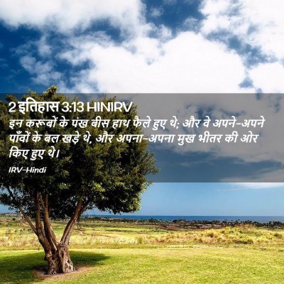 Picture 02 - 2 इतिहास 3:13 HINIRV - इन करूबों के पंख - Bible Verse Picture