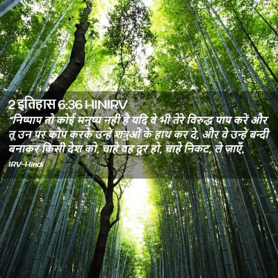 Picture 02 - 2 इतिहास 6:36 HINIRV - “निष्पाप तो कोई - Bible Verse Picture