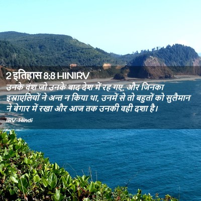 Picture 02 - 2 इतिहास 8:8 HINIRV - उनके वंश जो उनके - Bible Verse Picture