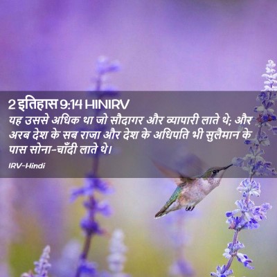 Picture 02 - 2 इतिहास 9:14 HINIRV - यह उससे अधिक था जो - Bible Verse Picture