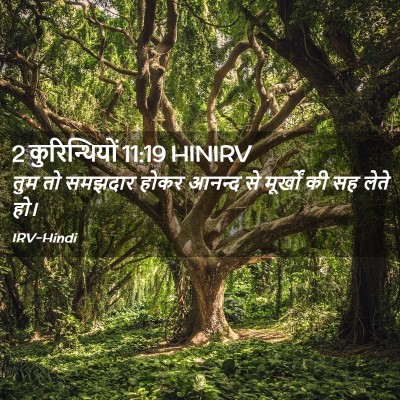 Picture 02 - 2 कुरिन्थियों 11:19 HINIRV - तुम तो समझदार होकर - Bible Verse Picture