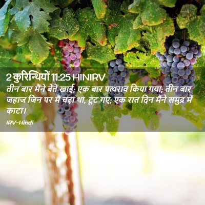 Picture 02 - 2 कुरिन्थियों 11:25 HINIRV - तीन बार मैंने - Bible Verse Picture