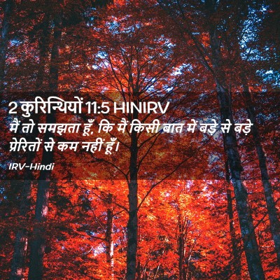 Picture 02 - 2 कुरिन्थियों 11:5 HINIRV - मैं तो समझता हूँ, - Bible Verse Picture