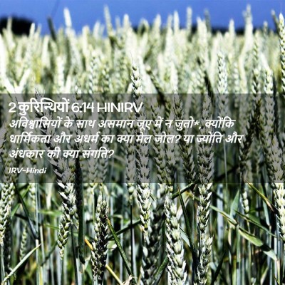 Picture 02 - 2 कुरिन्थियों 6:14 HINIRV - अविश्वासियों के - Bible Verse Picture