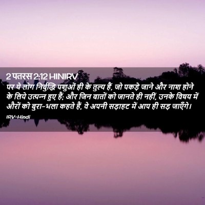 Picture 02 - 2 पतरस 2:12 HINIRV - पर ये लोग - Bible Verse Picture