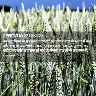 Picture 02 - 2 राजाओं 10:23 HINIRV - तब येहू रेकाब के - Bible Verse Picture