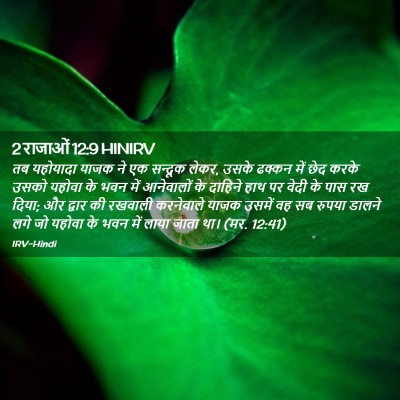 Picture 02 - 2 राजाओं 12:9 HINIRV - तब यहोयादा याजक ने - Bible Verse Picture