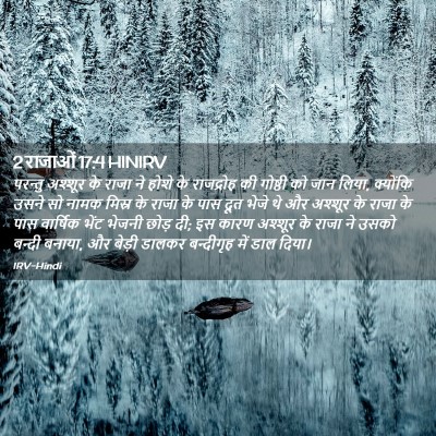 Picture 02 - 2 राजाओं 17:4 HINIRV - परन्तु अश्शूर के - Bible Verse Picture