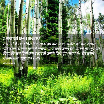 Picture 02 - 2 राजाओं 18:4 HINIRV - उसने ऊँचे स्थान - Bible Verse Picture